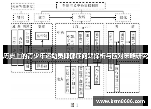 历史上的青少年运动员抑郁症问题探析与应对策略研究