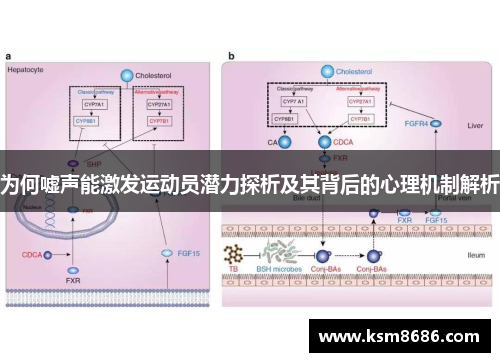 为何嘘声能激发运动员潜力探析及其背后的心理机制解析