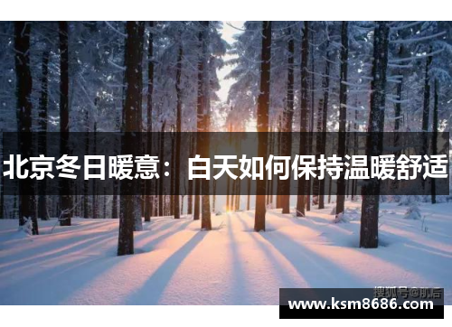 北京冬日暖意：白天如何保持温暖舒适
