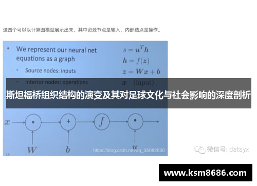 斯坦福桥组织结构的演变及其对足球文化与社会影响的深度剖析