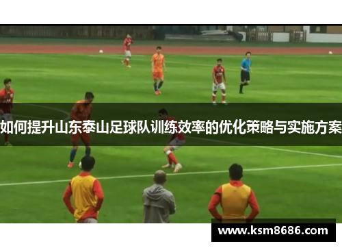 如何提升山东泰山足球队训练效率的优化策略与实施方案